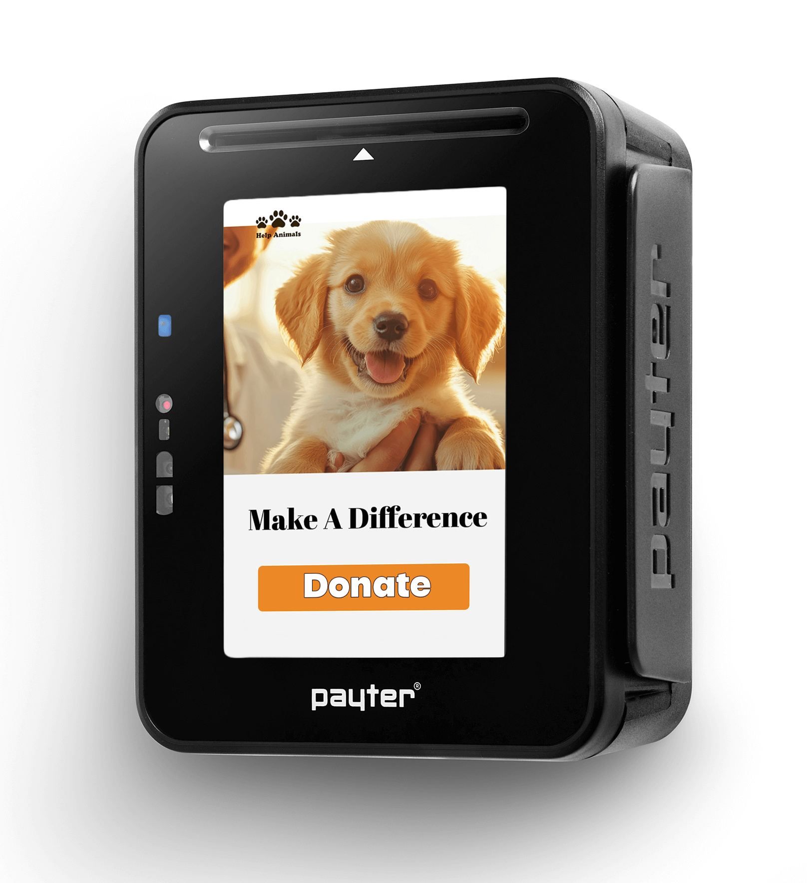 digital kiosks for animal shelter fundraiser