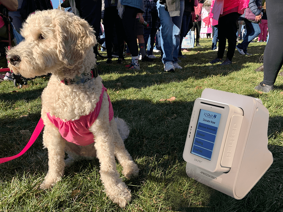 custom-branded fundraising kiosk for adoption events supporting the best animal charities